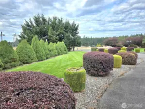 Beautiful mature landscaping.  Sprinkler system