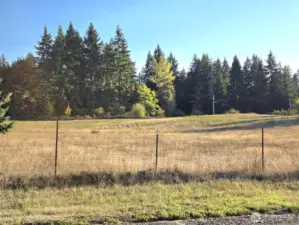 Flat 5 acres of pasture