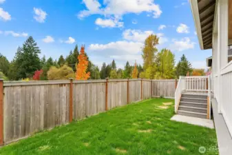 Bring your pets here!