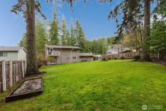 Large backyard