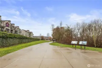 Path to the Dock and STUNNING Lake Views