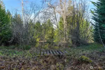 Foot Bridge - Can be slippery!