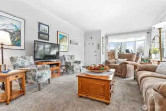 Living room and entry