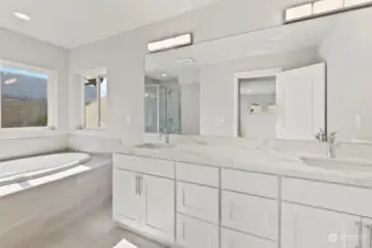 Main bathroom with dual vanity