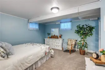 Bedroom or den on the lower level. Fresh paint and carpet.