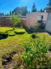 Nice Backyard with herb garden