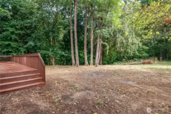 Massive Back Yard