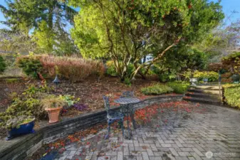 Paved backyard patio lower level