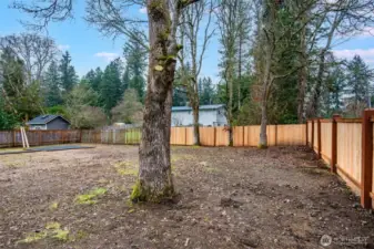 Seeded ready for a new spring lawn