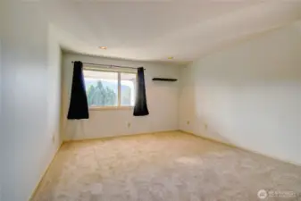 Lower Level bedroom 2.