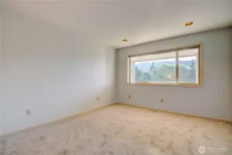 Lower level bedroom 3.