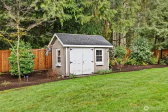 Backyard shed