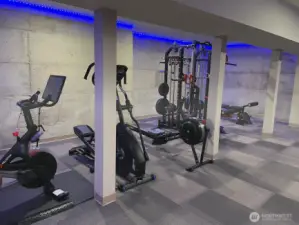 715 sf gym in basement