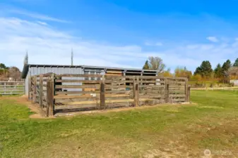 Chicken coop and pasture area for horses