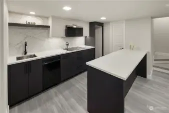 Mother-in-law basement kitchen