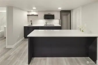 Mother-in-law basement kitchen