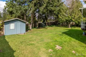 Storage shed along the fence line with lots of green grass.