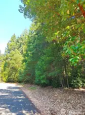 Beatiful Flat Lot with completed PERC Analysis