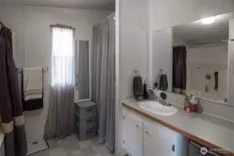 Primary bathroom with shower and soaking tub.