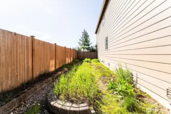 Vegetable Garden