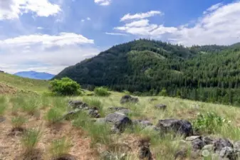 7.33 acre has a great landscape feature 'Rock Garden' looking East SE.