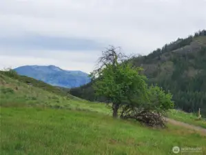 7.33 Acres Twisp off Twisp River Road is a great location only about 1.5 Miles from everything Twisp has to offer!