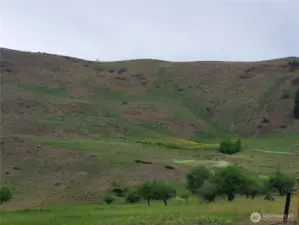 Wildflowers every Spring are jewel-like color nestled on surrounding hillsides.