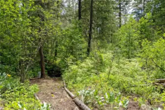 Walk down to the creek from your back porch.