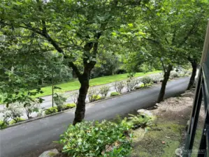 A beautifully maintained canopy of trees along the private drive, the songs of various birds and the security of this  community are just a few good reasons to invest in Gold Pointe.