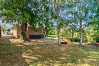 Shared Yard