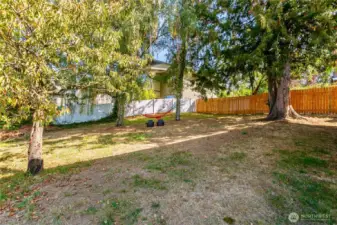Shared Yard