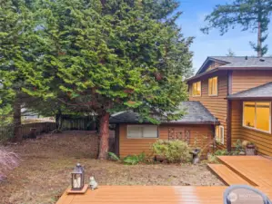 Backyard view surrounded by greenery and mature landscaping.