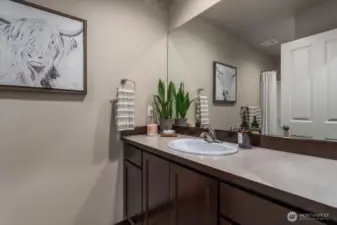 Guest full bathroom.