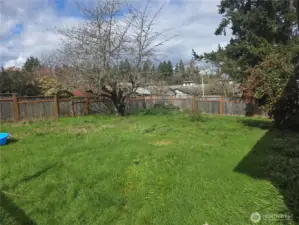 Spacious fenced back yard ideal for pets