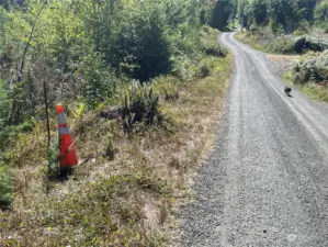 The southernmost property corner next to the driveway