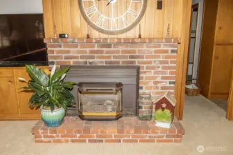 Gas Fireplace Insert