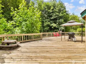 Plenty of space to entertain in the peaceful backyard