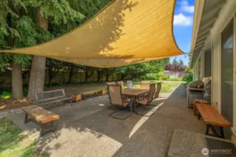 Backyard Patio