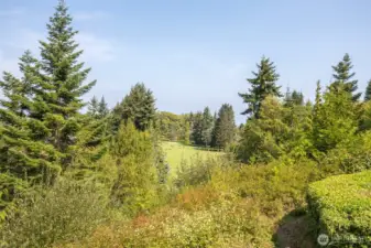 View to the North