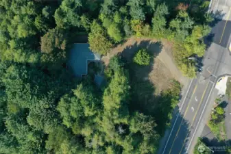 Aerial view - property is adjacent to Watershed Park, with the Woodland Trail just across the street. Super convenient to downtown, shopping, Olympia schools, EVERYTHING!