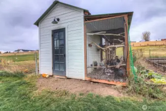 Chicken Coop