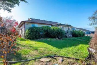 Looking up into yard