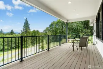 Large View Trex Front Deck