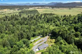 Where Freedom and....