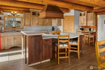 Chef inspired kitchen with tons of counterspace and open concept.