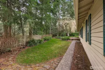 Pathway behind house
