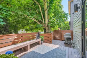 Private yard fully fenced