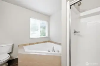 Upper Level Primary Bath