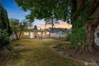 From the historical Sycamore tree, this home sits back on the large downtown lot