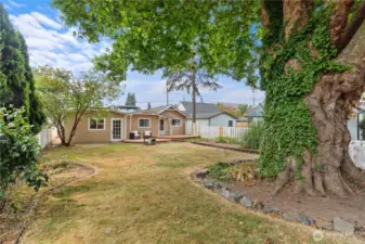 Lots of space to have a garden or sit in the shade and read a book!